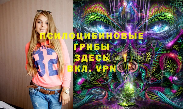 сатива Абинск