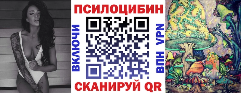Псилоцибиновые грибы Psilocybe купить ОМГ ОМГ как зайти Змеиногорск